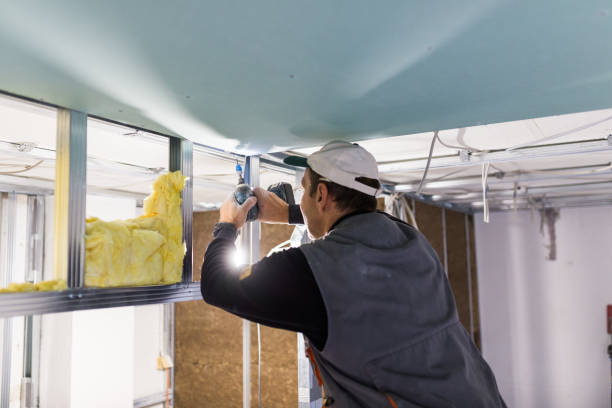 Best Insulation Removal  in Batavia, NY