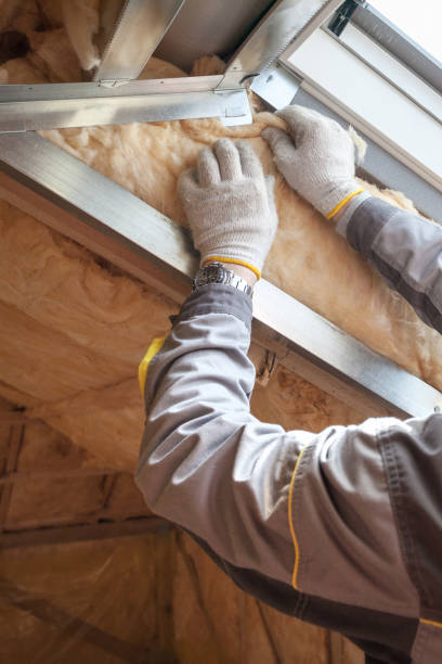 Best Insulation for New Construction  in Batavia, NY