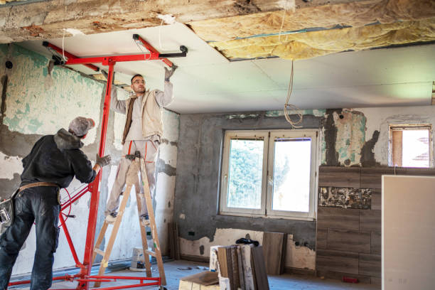 Best Professional Insulation Contractor  in Batavia, NY