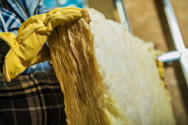 Best Professional Insulation Contractor  in Batavia, NY